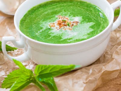 brennesselsuppe Brennesselsuppe mit Brennesseln