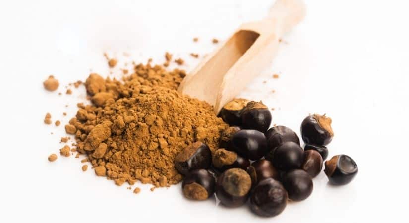 Guarana - natürlicher Motor für den Stoffwechsel