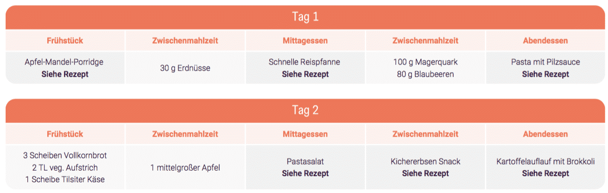 Stoffwechselanalyse Beispieltage Rezepte